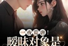 完结版《一夜荒唐!暧昧对象是前夫他亲哥》在线免费阅读-干果文学