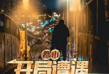 已完结小说《都市:开局遭遇中年危机》最新章节-干果文学