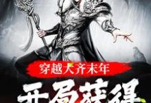 求穿越大齐末年,开局获得劈柴技能小说免费资源-干果文学