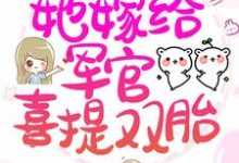 许白棉贺钧川为主角的小说叫什么?免费看拒绝当后妈,她嫁给军官喜提双胎-干果文学