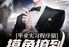 哪里可以免费读到陆管的完整故事?寻找毕业实习程序猿,摸鱼撩到豪门千金-干果文学