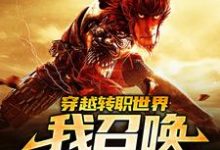 穿越转职世界,我召唤齐天大圣小说,穿越转职世界,我召唤齐天大圣最新章节-干果文学