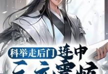 小说《科举走后门,连中三元震惊无数学子》章节阅读-干果文学