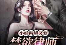 小说《小妖精甜又软,禁欲律师把持不住》章节阅读-干果文学