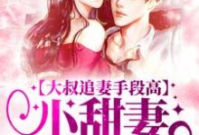 大叔追妻手段高,小甜妻逃不掉小说有没有完结版在线?-干果文学