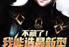 求不藏了!我能造最新型战斗机小说免费资源-干果文学