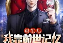 小说《重生后,我靠前世记忆投资赢麻了》在线章节阅读-干果文学