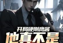 唐辰沈玉颜的小说在哪里看?免费在线阅读开局硬刚鹰酱,他真不是馋光刻机-干果文学