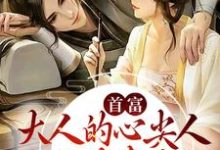 男女主人公林兮赵瑾辞小说首富大人的心尖人,公主娇妻是也章节免费阅读-干果文学