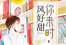 你来时,风好甜小说全文哪里可以免费看?-干果文学