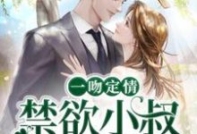 姜愿傅砚礼小说叫什么(一吻定情:禁欲小叔太难撩免费阅读)-干果文学