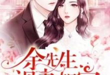 小说《余先生视妻如宝》章节免费阅读-干果文学