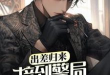 免费阅读王昊为主角的小说,出差归来,接到警局电话赎老婆在线看-干果文学