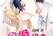 闪婚甜妻已上线小说最新更新在哪里?免费在线看-干果文学