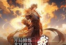 开局修炼北冥神功:我独步于武林张无忌赵敏,开局修炼北冥神功:我独步于武林最新章节-干果文学