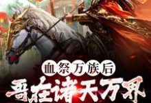 求血祭万族后,哥在诸天万界争霸第一小说的全文免费阅读链接-干果文学