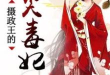 求摄政王的心尖毒妃小说免费资源-干果文学