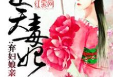 弃妇娘亲太嚣张小说,弃妇娘亲太嚣张在线阅读-干果文学