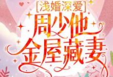 浅婚深爱:周少他金屋藏妻小说完结版章节免费阅读-干果文学