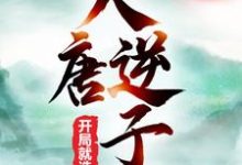 李承风李世民小说在线章节免费阅读(大唐逆子:开局就造反无弹窗无删减)-干果文学