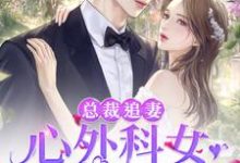 总裁追妻:心外科女大夫真难追小说的无弹窗阅读体验,寻找免费阅读网站-干果文学