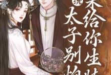 系统:太子别怕,我来给你生娃了许锦意小说大结局免费试读-干果文学