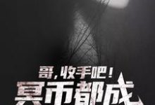 免费阅读白鸣为主角的小说,哥,收手吧!冥币都成国货之光了在线看-干果文学