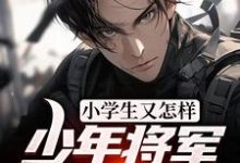 完结版《小学生又怎样?少年将军我当定了》免费阅读-干果文学