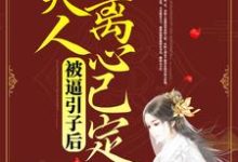 小说《被逼引子后,夫人离心已定》在线章节阅读-干果文学