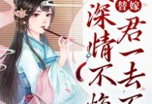 在线寻找姜小鱼陆隐的小说,替嫁:妾深情不悔,君一去不回免费阅读-干果文学