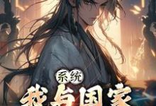 系统:我与国家共享气运小说的无弹窗阅读体验,寻找免费阅读网站-干果文学