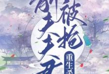 前夫夫君被抢,重生杀疯极品小说无弹窗阅读的网站推荐-干果文学