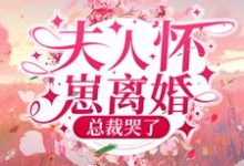 小说《夫人怀崽离婚,总裁哭了》在线章节阅读-干果文学