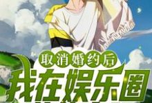 完结版《取消婚约后,我在娱乐圈逆袭变强》章节阅读-干果文学