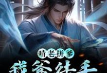 啃老拼爹!我爹徒手撕虚空陈霄韩清婉小说免费阅读-干果文学