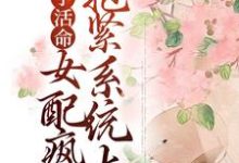 沈沁周铮小说在哪里可以看-干果文学