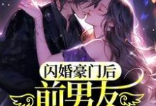 小说《闪婚豪门后,前男友敲门求和》在线章节阅读-干果文学