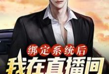 绑定系统后,我在直播间甩卖通缉犯林尘小说在线章节目录阅读最新章节-干果文学