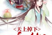 天上掉下一个媳妇 温媛沈文德小说大结局免费试读-干果文学