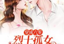 唐月小说叫什么(穿成六零烈士孤女,开局闪婚军官免费阅读)-干果文学