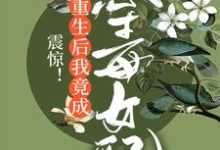 震惊!重生后我竟成恶毒女配免费阅读,震惊!重生后我竟成恶毒女配章节在线阅读-干果文学