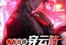 求人在直播:穿云箭,体验VIP服务小说免费资源-干果文学