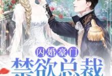 闪婚豪门:禁欲总裁宠入骨免费阅读,闪婚豪门:禁欲总裁宠入骨章节在线阅读-干果文学