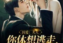 囚爱:夫人,你休想逃走我的手掌心叶舟聂修衍,囚爱:夫人,你休想逃走我的手掌心章节在线阅读-干果文学