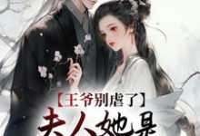 完结版《王爷别虐了,夫人她是嫡长公主!》章节目录在线阅读-干果文学