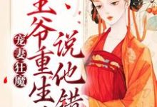 哪里能找到宠妻狂魔:王爷重生后说他错了小说的全部章节?-干果文学
