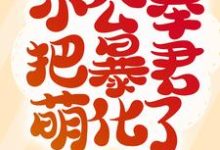 须尽欢秦惑小说在线章节免费阅读(团宠降临!小公举把暴君萌化了无弹窗无删减)-干果文学