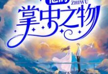 主人公叫江沉许念的小说他的掌中之物在线阅读章节-干果文学