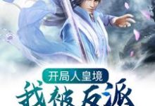 开局人皇境,我被反派养成神免费阅读,开局人皇境,我被反派养成神楚询姜尘-干果文学