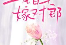 上错车,嫁对郎( 叶渺江约城)在线免费阅读-干果文学